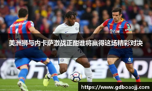 美洲狮与内卡萨激战正酣谁将赢得这场精彩对决